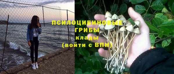 apvp Абаза