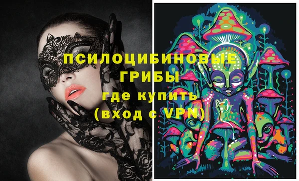 герыч Ладушкин