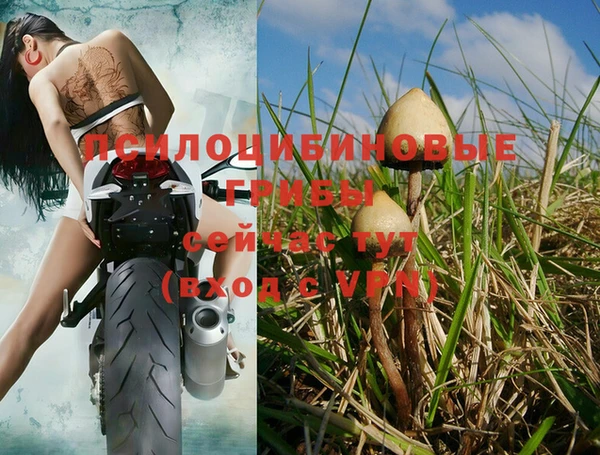 apvp Абаза