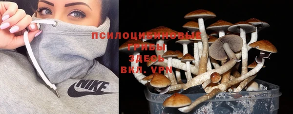 спайс Абдулино